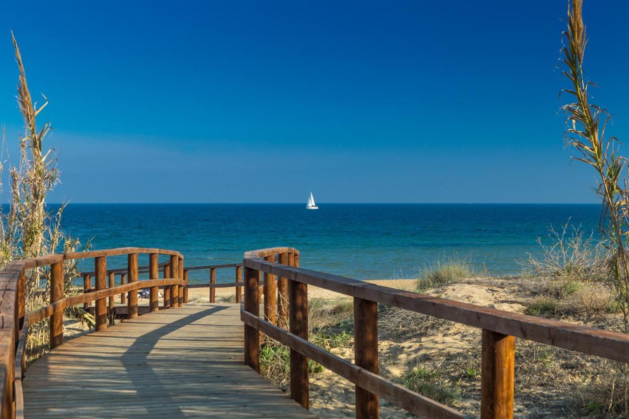 Apartament Palmera 100M Od Morza Ориуэла Экстерьер фото